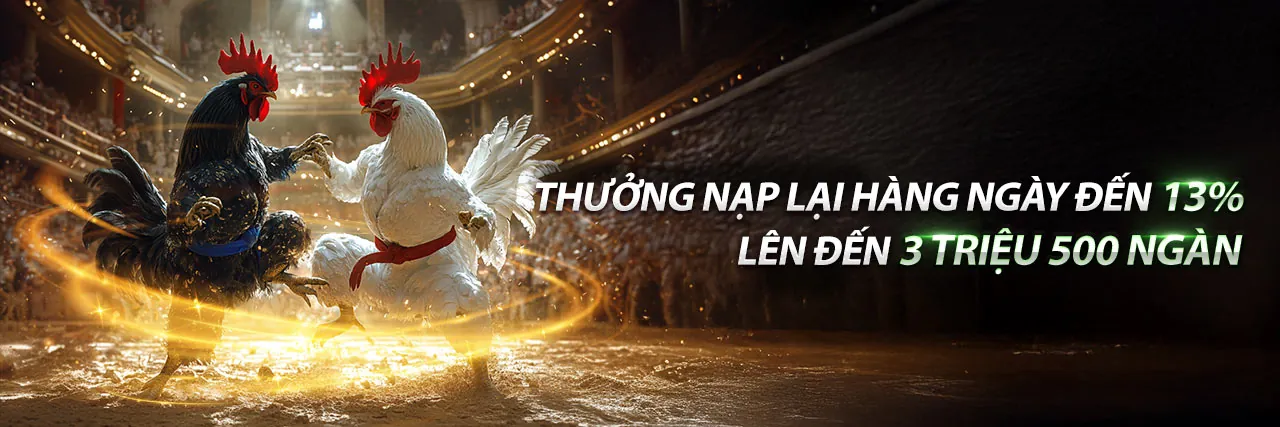 Khuyến mãi độc quyền 79king2 đăng nhập với ưu đãi hấp dẫn