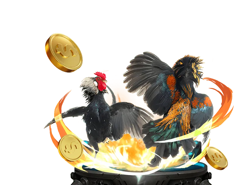 Ưu điểm vượt trội 79king2